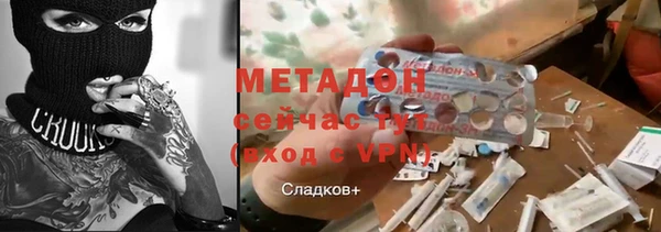 прущие грибы Кулебаки