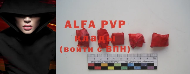 прущие грибы Кулебаки
