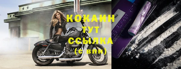 прущие грибы Кулебаки